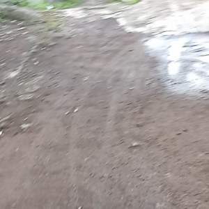 pancuh Tanam bentuk jamur