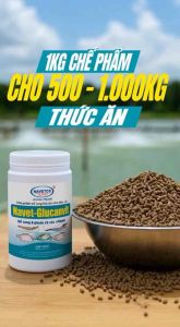 NAVET-GLUCANVIT (1kg)_ Bổ sung ß-glucan và các vitamin cho Tôm Cá Thủy sản