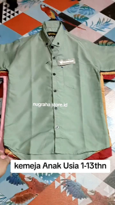baju kemeja anak warna sage bahan katun adem untuk usia 1-13thn