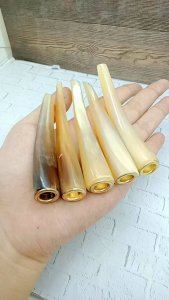 Once sedotan tanduk kerbau bule asli A30