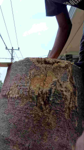 Gergaji Malvin siap pakai sudah tajam