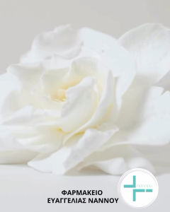 Kem Dưỡng Vichy Neovadiol Longevity 50ml – Bổ Sung Dưỡng Chất Làm Mịn & Dưỡng Ẩm Cho Da Phụ Nữ Trưởng Thành