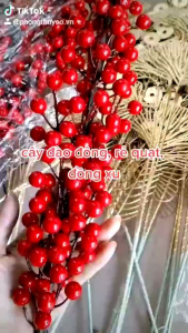 Set nguyên liệu làm tháp tỏi Thuylamshop trang trí Lễ Tết