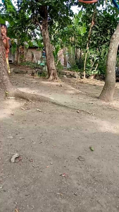 Ayunan Gantung Dewasa dan Anak anak Kuat 170 Kg Double