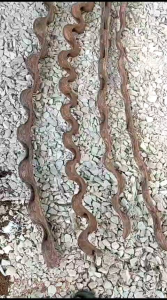 Akar Kayu Trinil: Dekorasi Aquascape & Aquarium