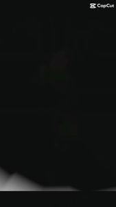 Senar Pancing Super Kuat Pe X8 Crony Pro Braid - Fluo Color - Casting - UL - Jigging