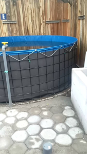 terpal kolam bundar