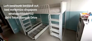 Loft bed/bunk bed/pull out bed customize singapore