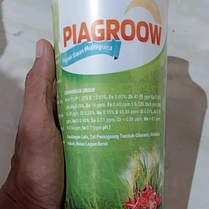 Pupuk Organik Piagrow: Pupuk Kualitas Tinggi untuk Tanaman