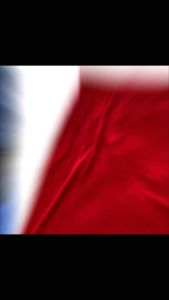 SELUAR PENDEK JERSEY DEWASA/MEN SPORT SHORT PANT