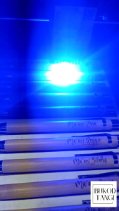 Wooden Bamboo Pen Personalized Engrave Gift by Bukod Tangi PH