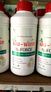 N-FORCE (เอ็น-ฟอร์ช)