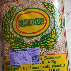 Benih padi pandan wangi Sinta nur (5kg)
