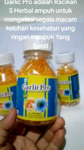 Garlic Pro 5 in 1 Extrac Bawang Putih  Habbatussauda oil Minyak Zaitun Madu Plus Propolis 100 kapsul-Garlic Minyak Bawang putih suplemen Kesehatan
