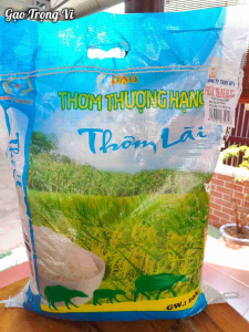 Gạo Thơm Lài Phước Thành III Túi 10kg Nguyên Seal – Gạo Sạch Thơm Dẻo Mềm Cơm Trắng Ngon Cho Gia Đình