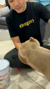 BUY 500g FREE 200g ROGAN & STANLEY 4IN1 EXTRACT NUTRITION Pet Supplement Cat Dog Health Fish Oil Probiocitc Licithin Shark Bone Pets Hair Skin Digestion Vitamin