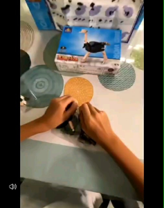 Ready stock/birds world animal bird building blocks collection/Educational toys gift for kids飞禽积木