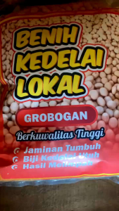 BENIH KEDELAI GROBOGAN BIJI BESAR 1KG SIAP TANAM