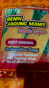 500 GRAM BENIH JAGUNG MANIS SUPER UNGGUL SIAP TANAM