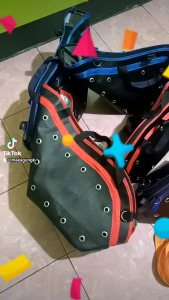 kiso ayamtas ayam Kisa ayam jago