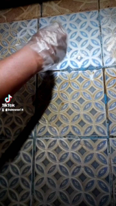 Sonic Toilet Cleaner: Pembersih Kamar Mandi & Kamar Kecil yang Ampuh