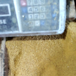 Pur Ayam Pedaging 1kg Pakan Ayam Penggemuk