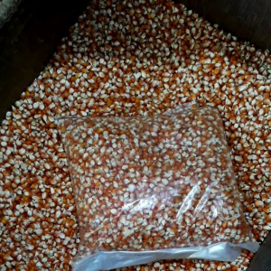 Jagung Kristal 1kg Pakan Burung Merpati/Dara