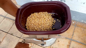 Gilingan Alat Pemecah Kedelai untuk Tempe Ontelan Manual dari Kayu Jati