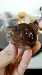 Natural Precious Fluorite Crystal Dragon Turtle Carved Ornament DT04