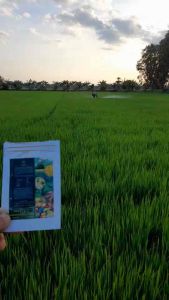 Tree+ สำรองเสริมพืช 10กรัม 30-40 ลิตร ขนาด 1200 ลิตร สำหรับการเจริญเติบโตให้พืชที่ขาดสารอาหาร