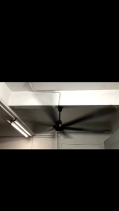 Ceiling Fan 80"/200cm 165W 6 Blades (Black)