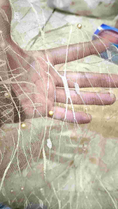 Kain tile akar mutiara nobita per 1 meter