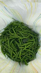 พริกสด พริกอัมพวา “เผ็ดจัดจ้าน กลิ่นหอมเฉพาะตัว เก็บสดทุกเช้า ส่งตรงถึงมือคุณ!” พริกอัมพวาแท้ รสชาติเผ็ดถึงใจ ไม่ฉุน ไม่เหม็นอับ