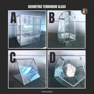 Geometric glass terrarium copper frames for showcasing succulents air plants moss or miniature gardens
