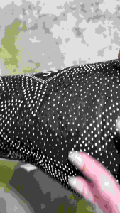 Sajadah tebal emboss halud edisi warna Cream