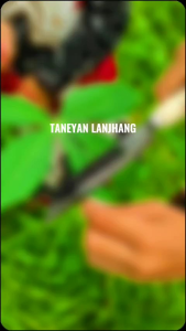 Pisau Dapur Kecil Tajam: Pilihan Terbaik untuk Rumah Tangga