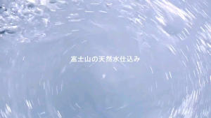 BÁNH NƯỚNG FUJIYA 38 cái NHẬT BẢN