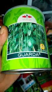 Benih Kacang Panjang GUARDA Cap Panah Merah 500 gram