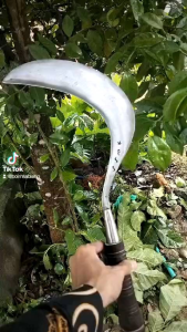 arit serabutan serbaguna untuk ranting daun dll