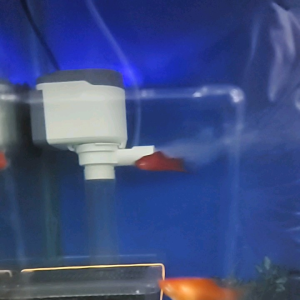 OceanMaster Aquarium Power Head With Ambient Light