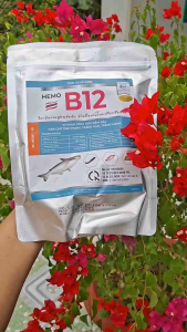 HEMO B12 - Vitamin Tổng Hợp Hạn Chế Trắng Mang Trắng Gan Bổ Sung Hồng Cầu Cho Cá Lươn Ếch...Gói 1Kg