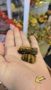 Mặt đá Mắt Hổ Nâu Vàng hình con ve mang lại May Mắn Hạnh Phúc.