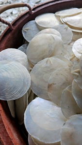 Capiz Shells Assorted sizes 100pcs