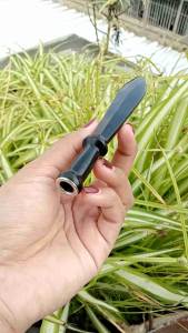 Pipa Cangklong Kayu Kelor Hitam Motif Pedang D37