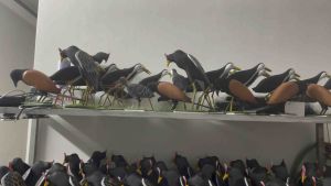 Chim quốc mồi giả cao su non Mồi Giả Cho Câu Cá Thiết Kế Mồi Câu Chân Thực - Lazada