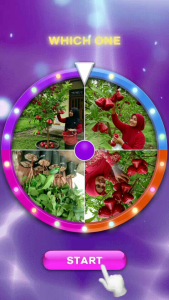 Bibit / Pohon Jambu Air Citra Merah Super Unggul Cepat Berbuah/Berbunga