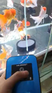 Huike H6 AC/DC Waterproof Aquarium air Compressor Silent Dual Oxygen Water Pump