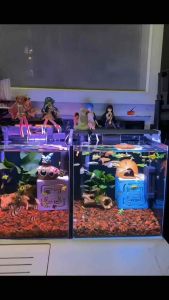 BESSN Aquarium Filter Media Box Water Clear Akuarum Air Jernih Crystal Clear Aquarium Purifier