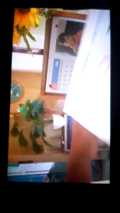 Kalender Meja Aesthetic Sarah19: Desain Unik & Dekorasi Kantor