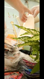 combo 10 quần su nữquần lót su đúccombo 10 quần lót